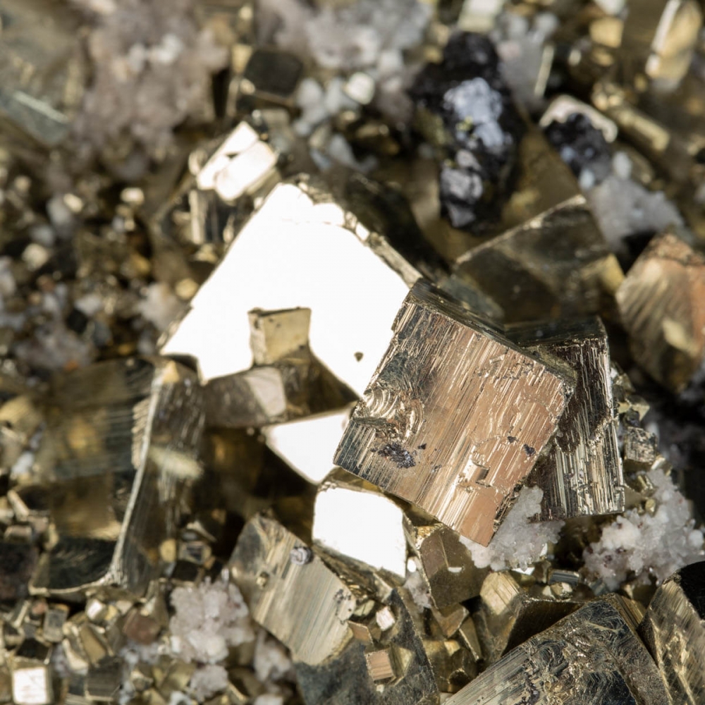 Melnikovite Sur Pyrite - Spécimen Minier De Campiano (GR, Italie) - Neuf